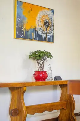 a wooden table with a plant on top of it at Casa de Helen in Antiguo Cuscatlán