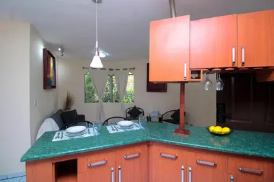 a kitchen with a green counter top and wooden cabinets at Modern Stylish Apt in Secure Area in San Salvador in San Salvador