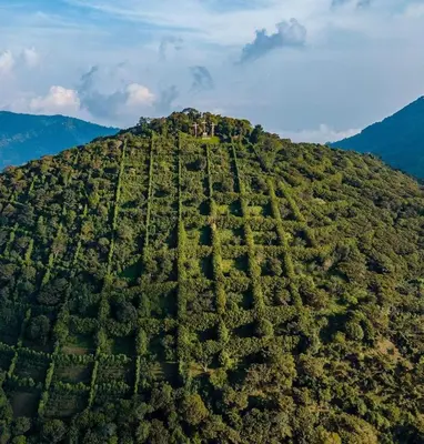 an aerial view of a hill with trees on it at Susana's house, your home in Ahuachapán in Ahuachapán