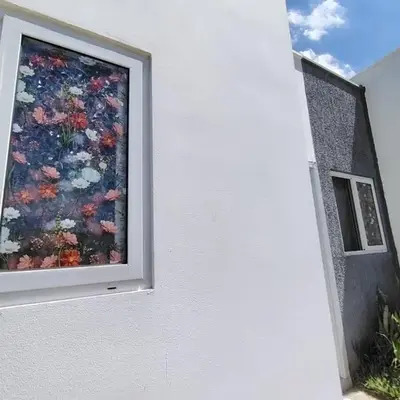 Susana's house
