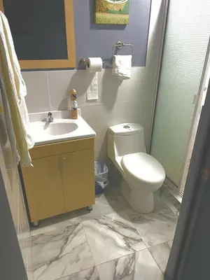 a bathroom with a toilet and a sink at Palo Coco Home in Santa Ana