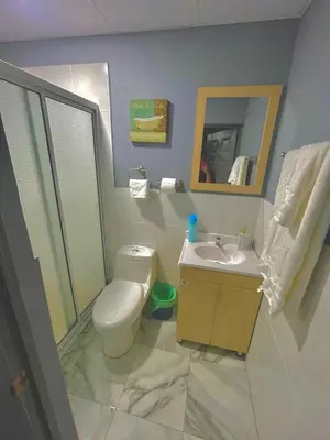a bathroom with a toilet and a sink and a shower at Palo Coco Home in Santa Ana