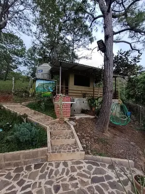 a house with a tree and stairs in front of it at Cabaña Vista Pinares San Ignacio Chalatenango in Chalatenango