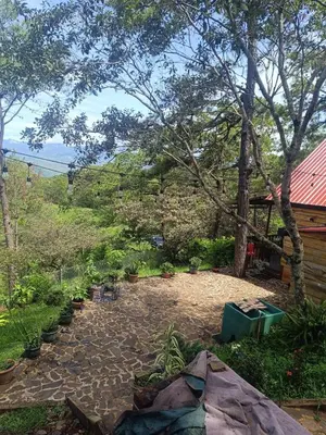 a yard with a stone patio with trees and a building at Cabaña Vista Pinares San Ignacio Chalatenango in Chalatenango