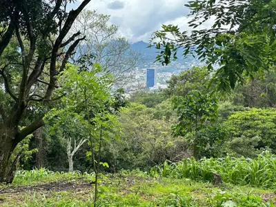 a view of a city from a forest of trees at Zona de Camping con casa de campo in San Salvador