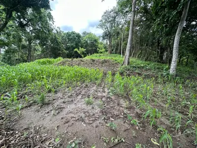 a dirt road in the middle of a forest at Zona de Camping con casa de campo in San Salvador