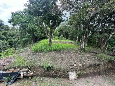 a dirt hill with trees and grass on it at Zona de Camping con casa de campo in San Salvador