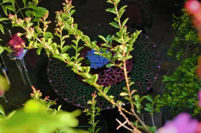 a vase filled with flowers on a tiled floor at Hotel Oasis in San Salvador