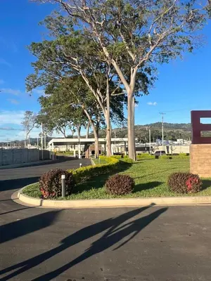 a park with trees and bushes on a street at Lovely 2BDR home in EcoTerra, Santa Ana in Santa Ana