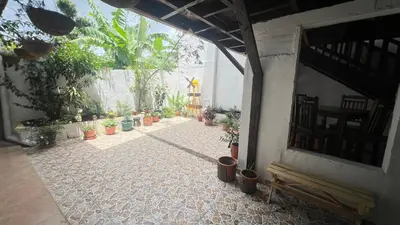 a courtyard with potted plants on the floor of a house at Casa Don Quijote in Concepción de Ataco