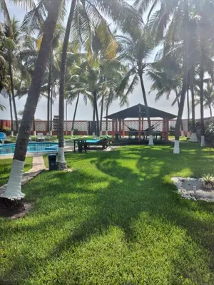 a park with palm trees and a swimming pool at Beachfront- El Torogoz del Pimental in La Esmeralda