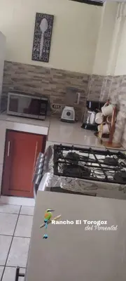 a bird on the side of a stove in a kitchen at Beachfront- El Torogoz del Pimental in La Esmeralda