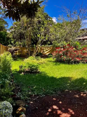 a yard with green grass and bushes and trees at Casa de Montaña en Los Naranjos in Los Naranjos