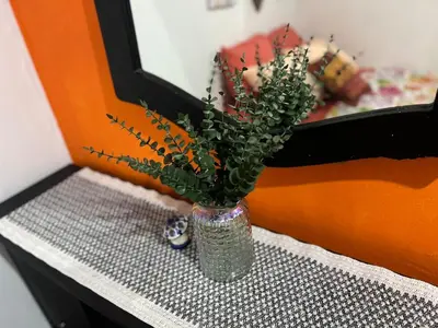 a vase with a plant sitting on a table at Tunco Sun Room 2 in Tamanique