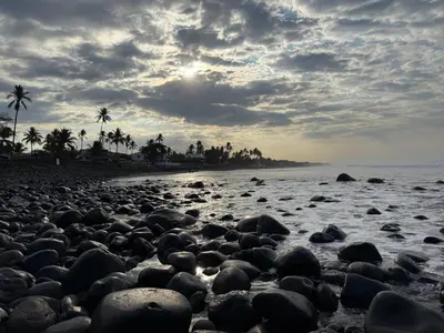 a group of rocks on a beach with palm trees at Casa DUNA 3 in Playa San Blas