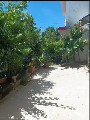 a walkway with plants and trees in a yard at Cuarto estudio HERSOR in San Salvador