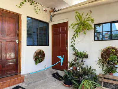 a front door of a house with plants at Cuarto estudio HERSOR in San Salvador