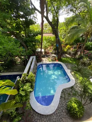 a swimming pool in a garden with trees and plants at Eco del Mar in La Libertad