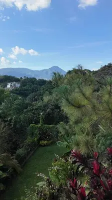 a garden with palm trees and mountains in the background at Las Terrazas Suites Studio Apartment in San Salvador