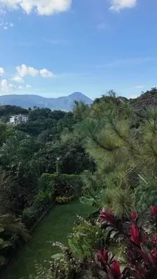 a garden with palm trees and mountains in the background at Las Terrazas Suites Studio-type apartment in San Salvador