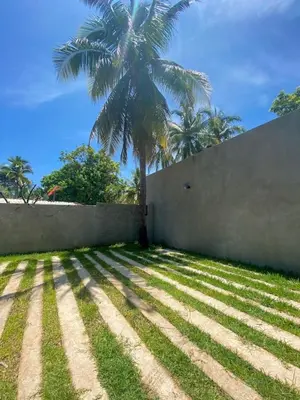 a wall with a palm tree in the background at Villa Uma 50m to Zonte wave 2Bdr in El Zonte