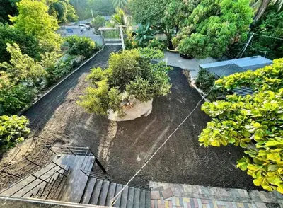 an aerial view of a garden with plants and trees at Evolution Home in Astoria