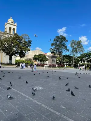 a group of birds standing in a courtyard at Two Beds San Francisco Chinameca in San Francisco Chinameca