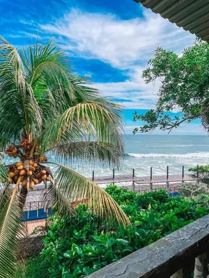 a palm tree next to a beach with the ocean at El Tunco Beachfront Surf City Spot in Tamanique