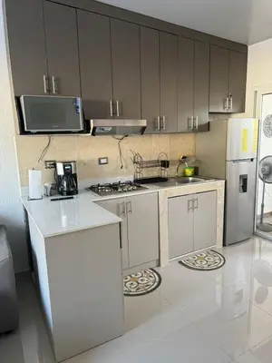 a kitchen with a refrigerator and a counter top at Maadi-Tiny House-Los Ausoles in Ahuachapán