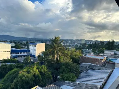 a view of a city with buildings and a palm tree at Moderno, acogedor y privado, en San Salvador in San Salvador