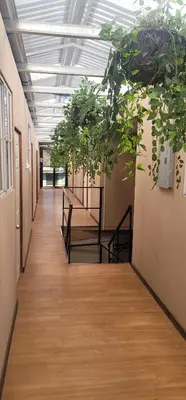 a hallway with potted plants in a building at Casa de Huéspedes Noche de Luna in San Salvador