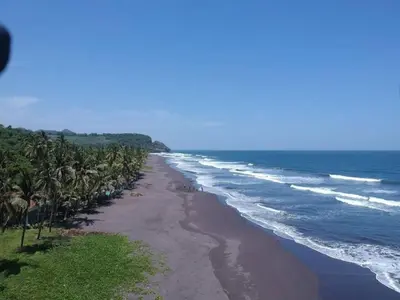 a beach with a bunch of palm trees and the ocean at Mangomar Beach House in Teotepeque
