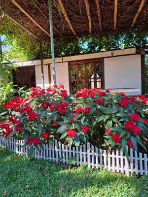 a white fence with red flowers in front of a house at cabañas de Apaneca in Apaneca
