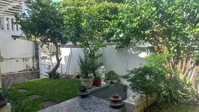 a small garden with trees and a white wall at Casa Flor Blanca in San Salvador