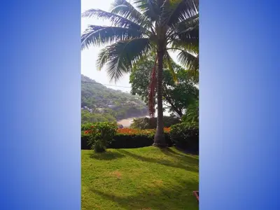 a palm tree in a yard with a view at Sueño del Pacifico in La Libertad
