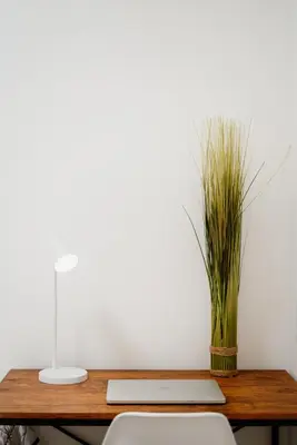 a desk with a laptop and a vase of grass at Apartment In The Greatest San Salvador in San Salvador