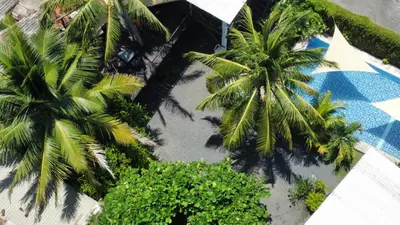 an overhead view of palm trees and a pool at Copacabana SV L in El Majahual