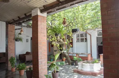 an outdoor patio with a tree and plants at Hostal Los Milagros in Santa Ana