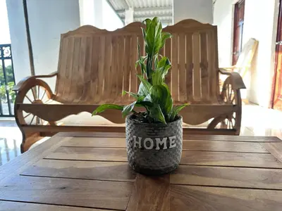 a potted plant sitting on top of a wooden table at Estancia Altos de Guadalupe in Alegría