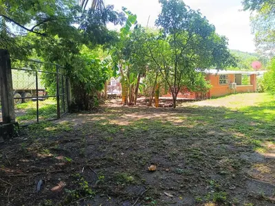a yard with a fence and trees and a building at Casa Blanca el Zonte in El Zonte