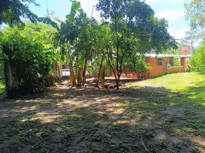 a yard with trees in front of a house at Casa Blanca el Zonte in El Zonte