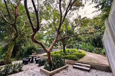 a park with benches and a tree and trees at Hotel Termales La Montaña in Ahuachapán