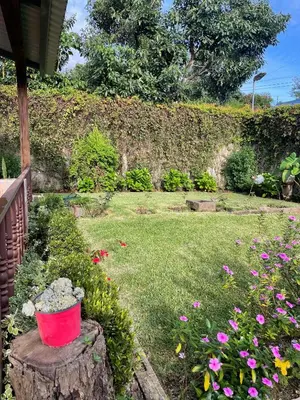 a garden with a red bucket on a tree stump at La Casa de Sonya in Concepción de Ataco