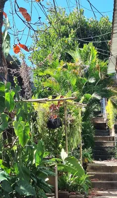 a garden with a bunch of plants and stairs at Casa El Trébol