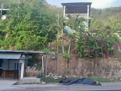 a wall with flowers on it and a building at Apt Playa kilometro 59, Rural area in ChiltiupÃ¡n