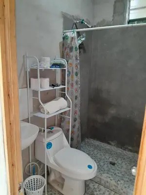 a bathroom with a toilet and a shower at Apt Playa kilometro 59, Rural area in ChiltiupÃ¡n
