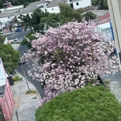 Vista de la capital