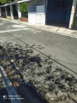 a shadow of a tree on the side of a street at Copinol 68 in San Salvador