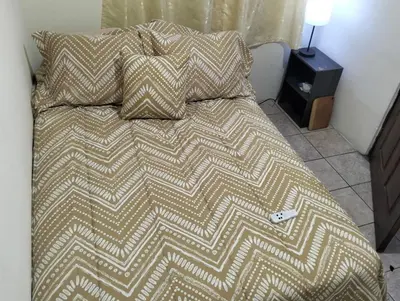 a bed with two pillows on it in a bedroom at Copinol 68 in San Salvador