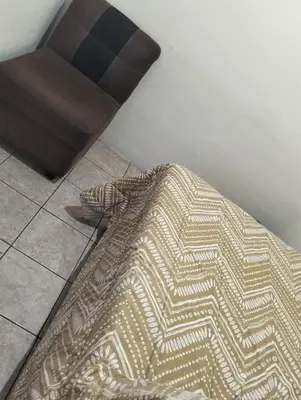 a brown rug on the floor next to a chair at Copinol 68 in San Salvador